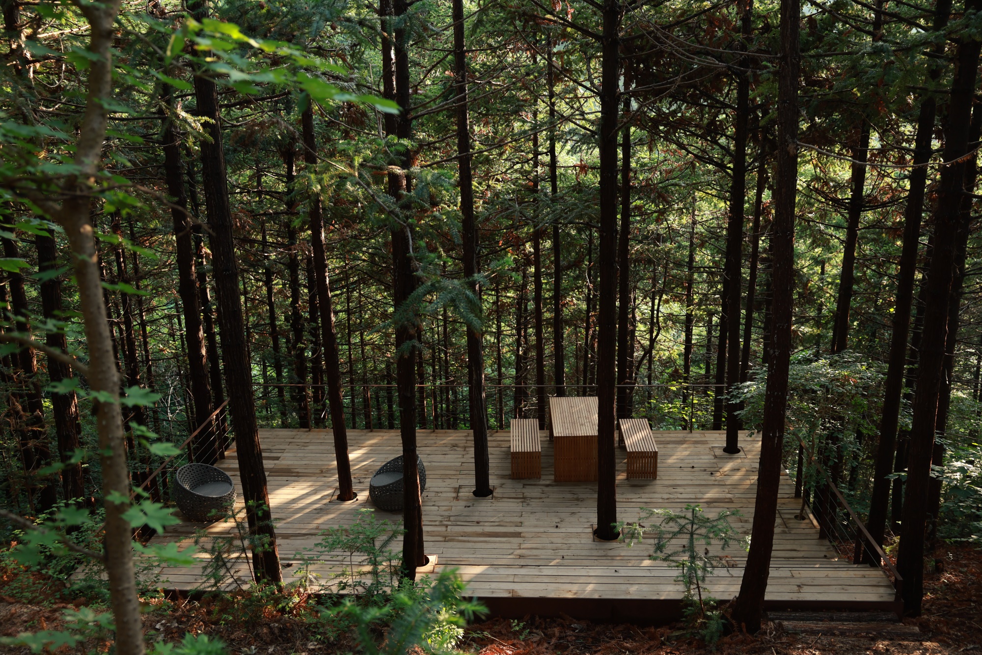 昆嵛山国家级自然保护区基础设施设计项目丨大小景观团队（Atelier Scale）-232