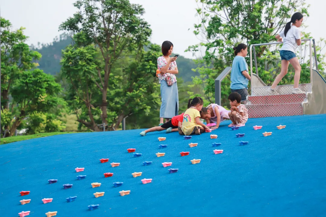 深圳葵涌生态公园-18