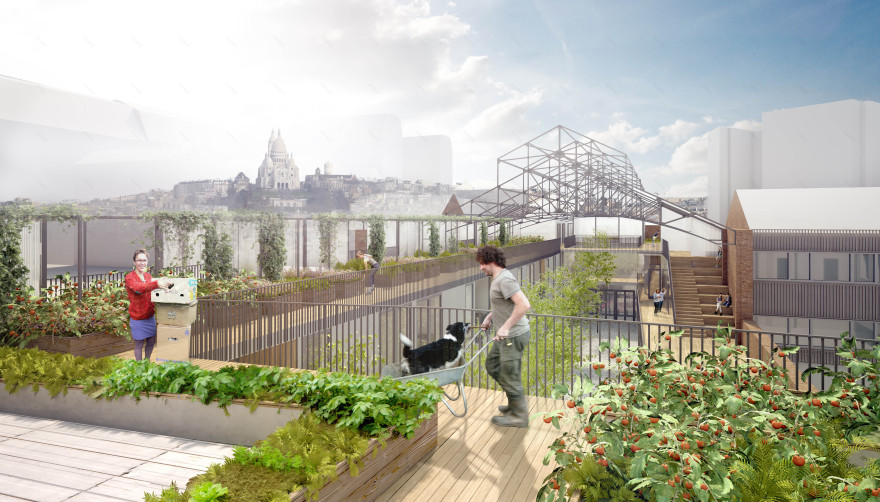 巴黎生态转型实践——创新城市生活-0