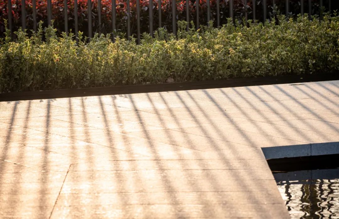 南京水沐云筑 | 自然与现代的共生之美-58