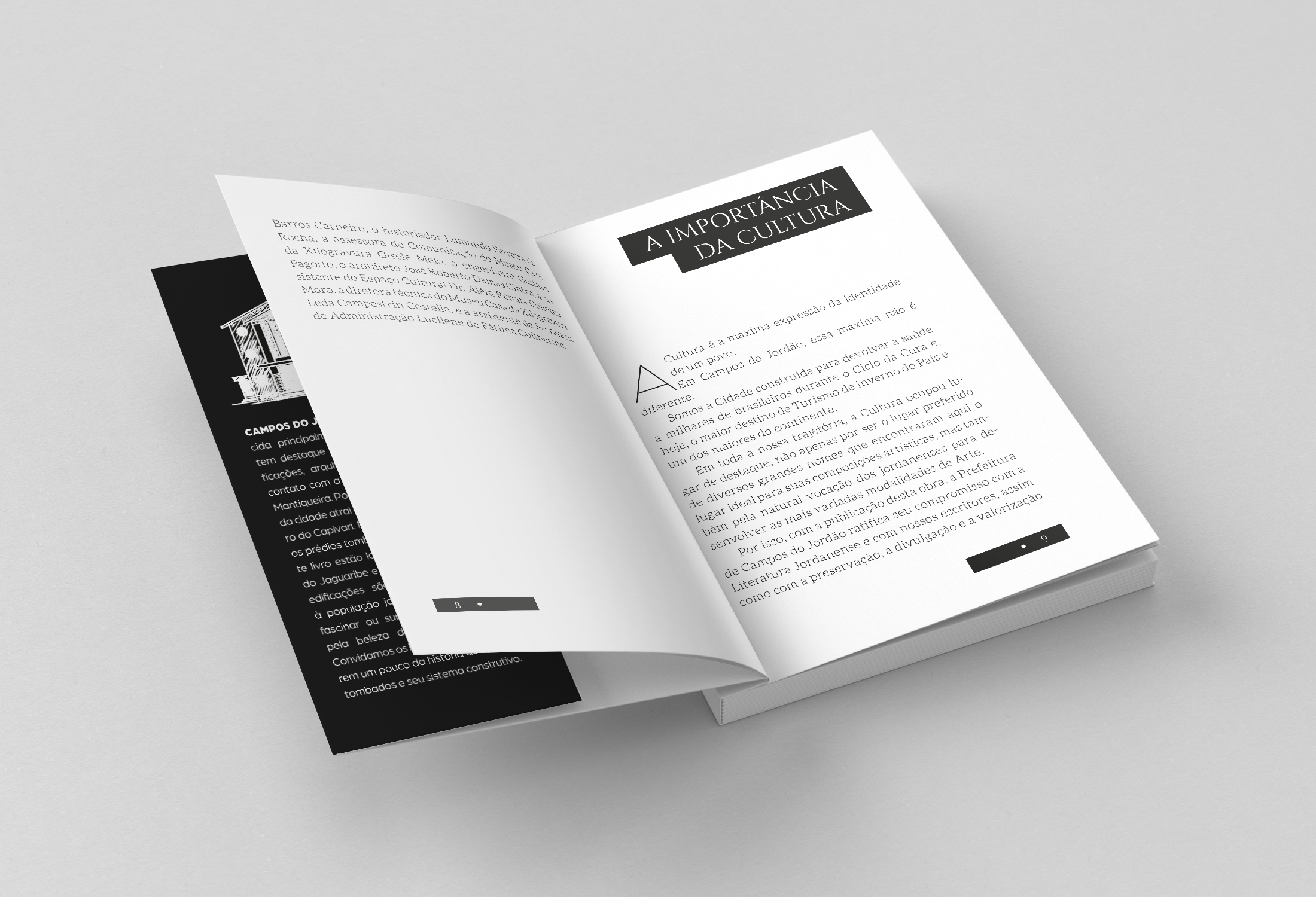 Livro: Arquitetura e Patrimônio Cultural em Campos...-7