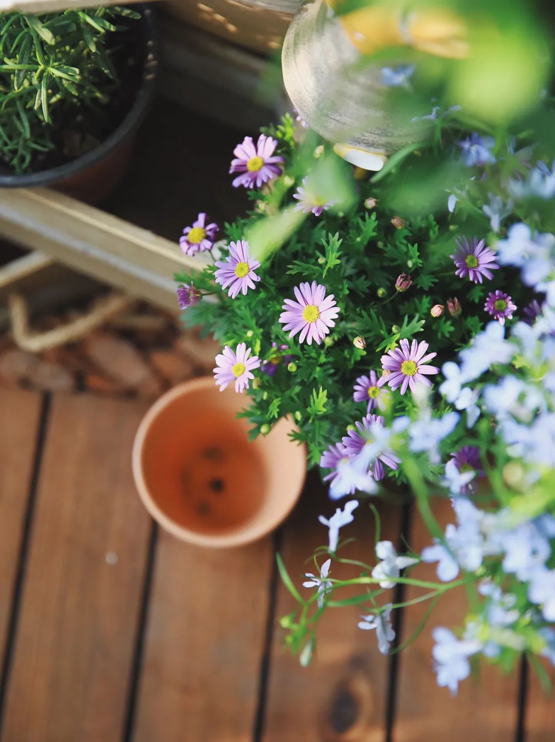 5㎡小阳台，打造治愈系小花园-40