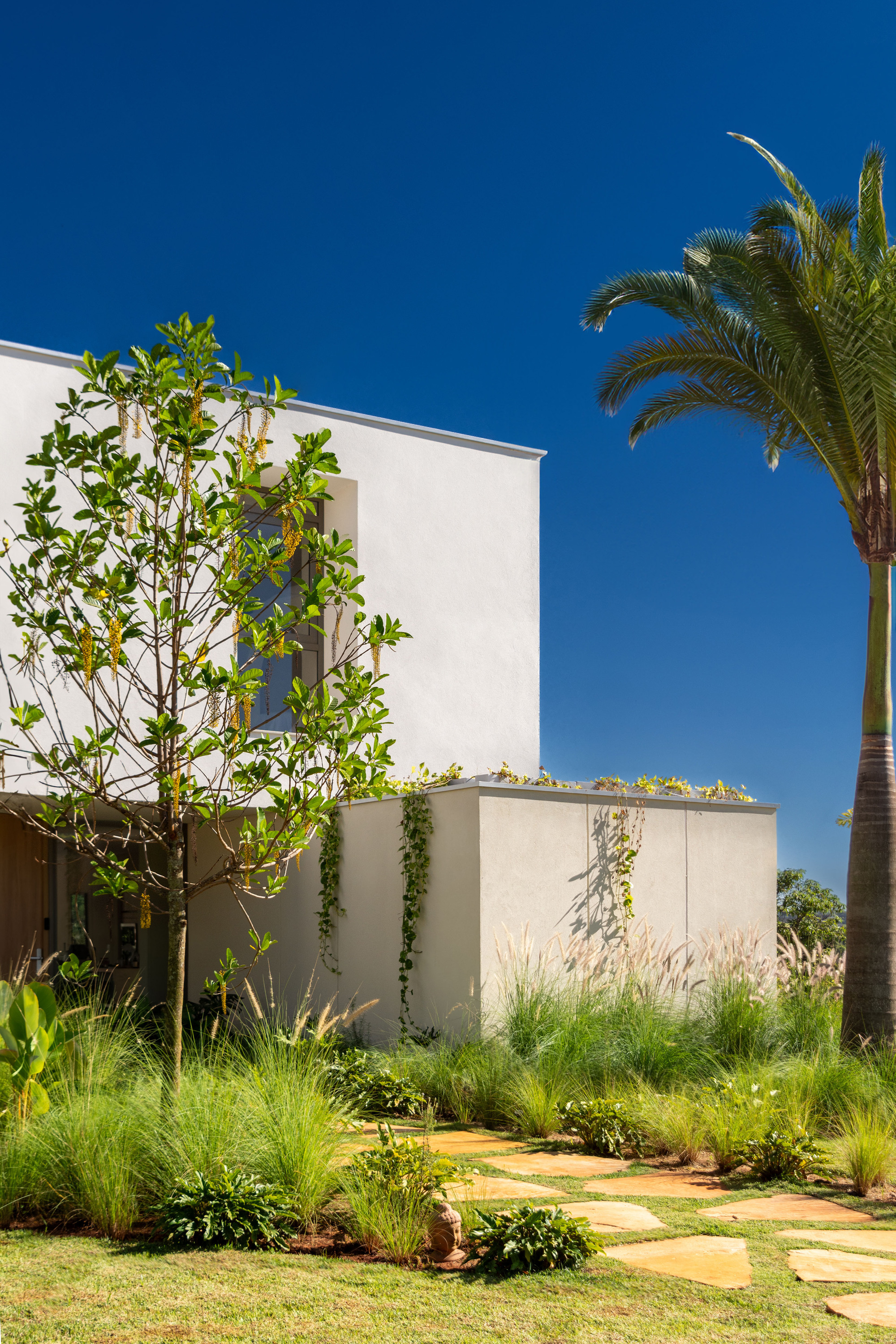 丨巴西丨OTP arquitetura-10