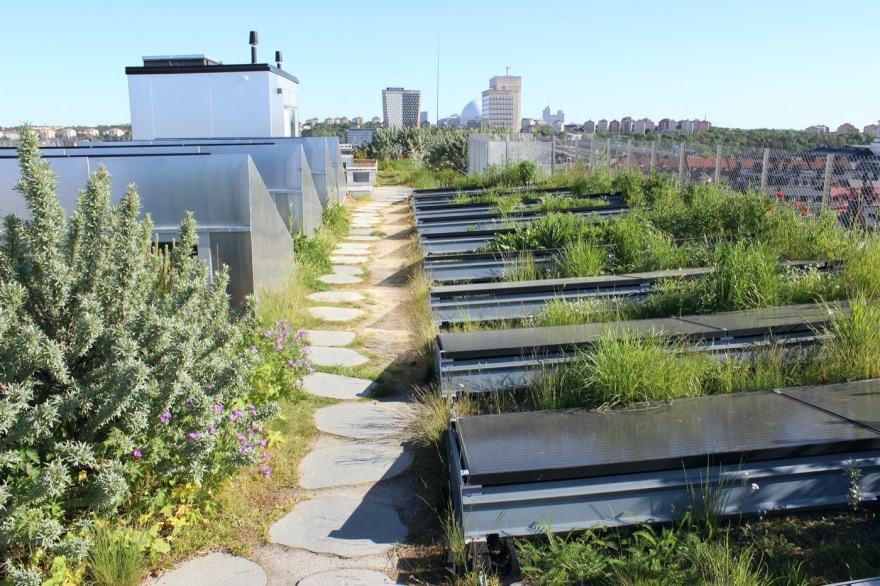 绿色屋顶花园丨Axeloth Arkitekter-13