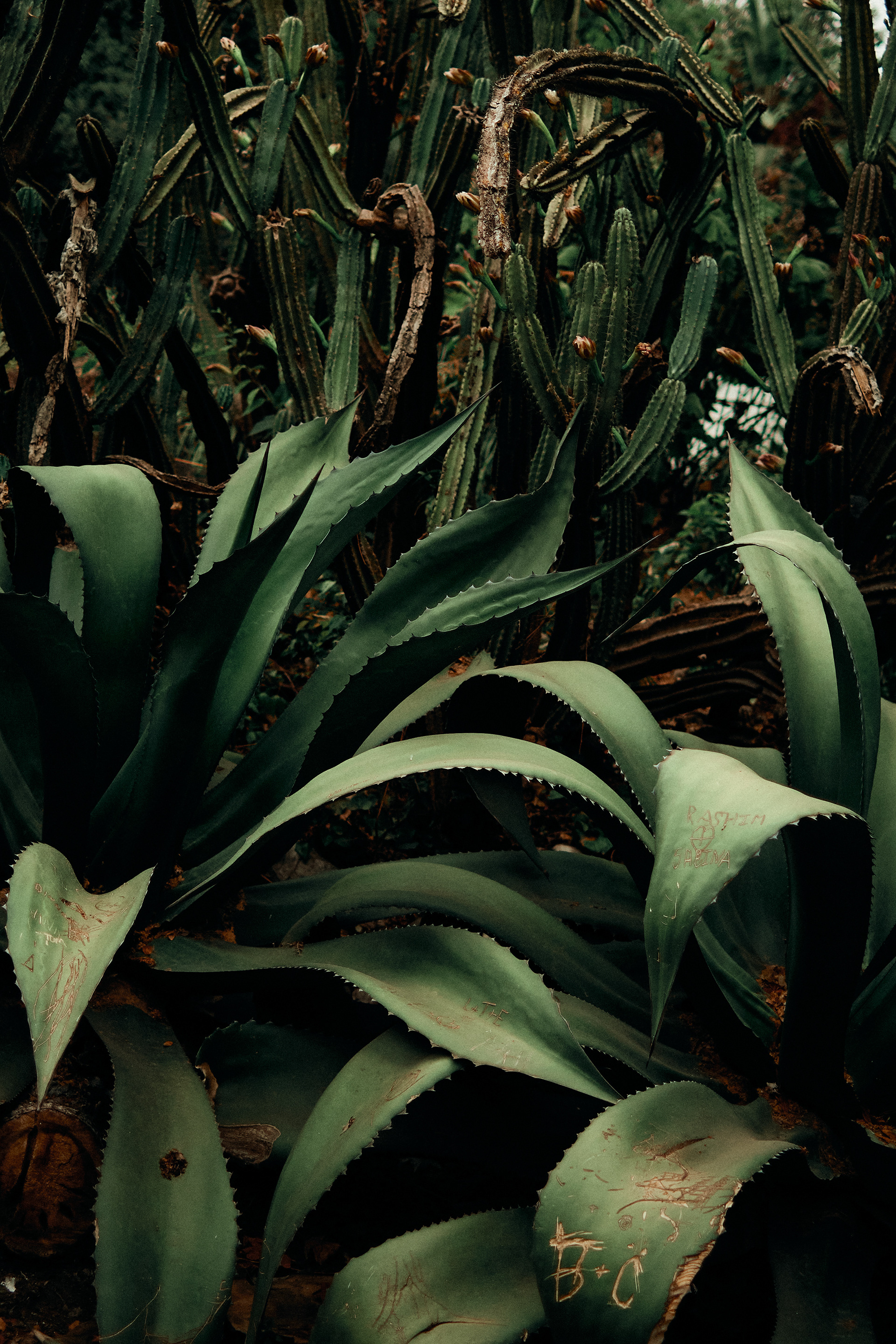 里斯本城市景观摄影丨葡萄牙里斯本-7