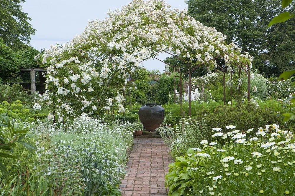 一个设计，一个栽种，夫妻协力打造的复古花园-7