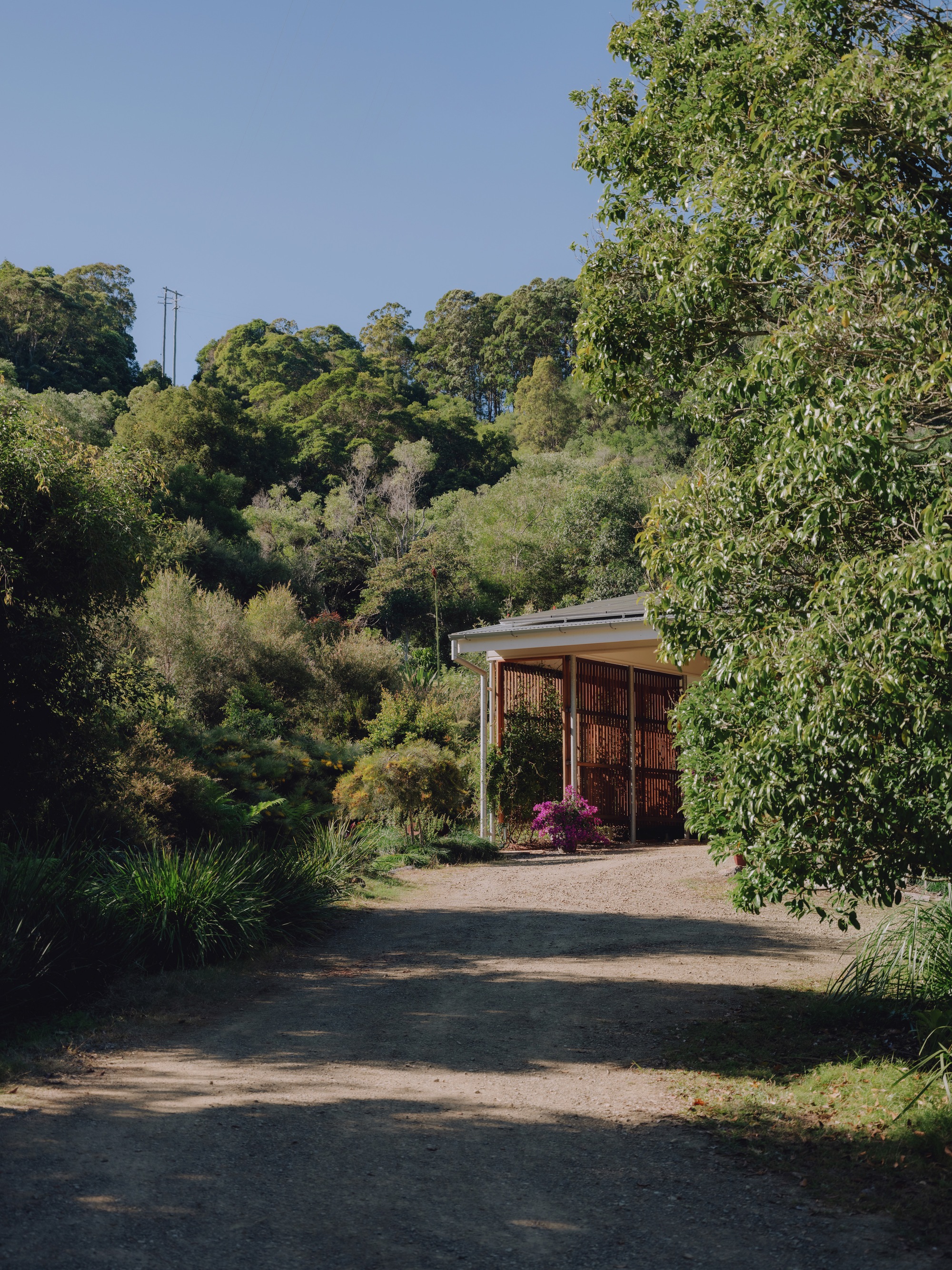 丨澳大利亚丨Dan Wilson,Henry Bennett-48