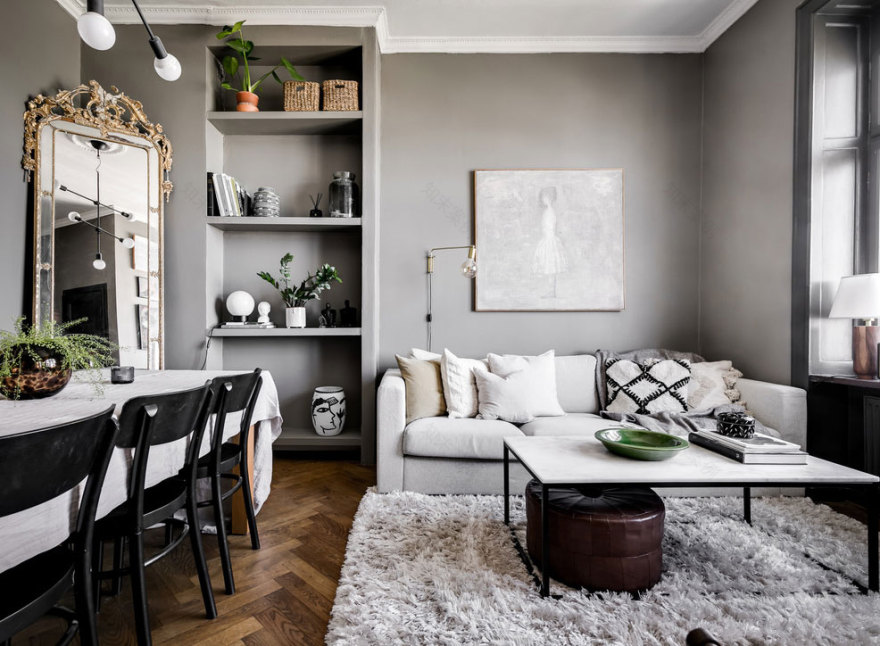 灰色调 48 平米一居室公寓的柔和魅力-1