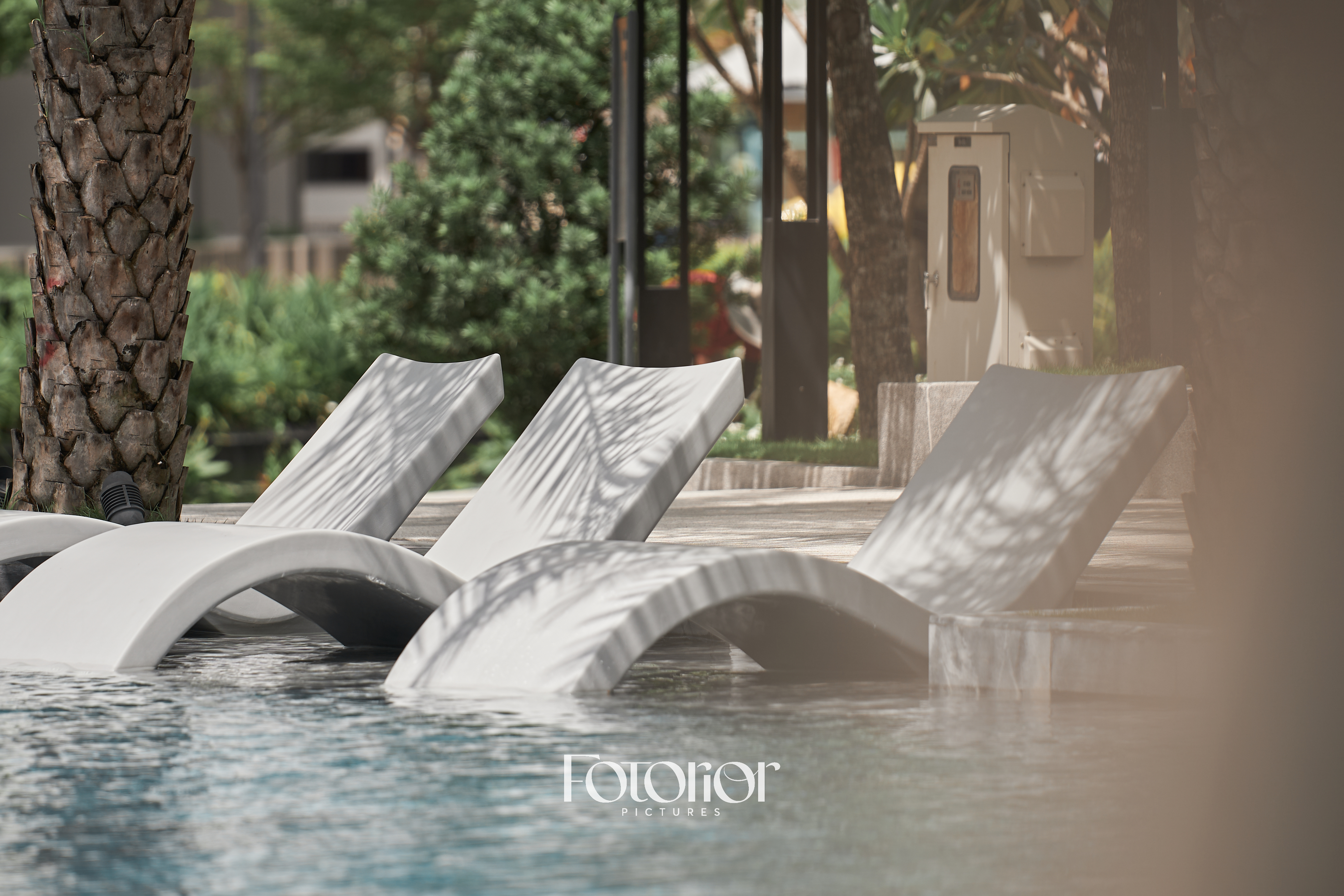 The STANDARD by ANGIA-1