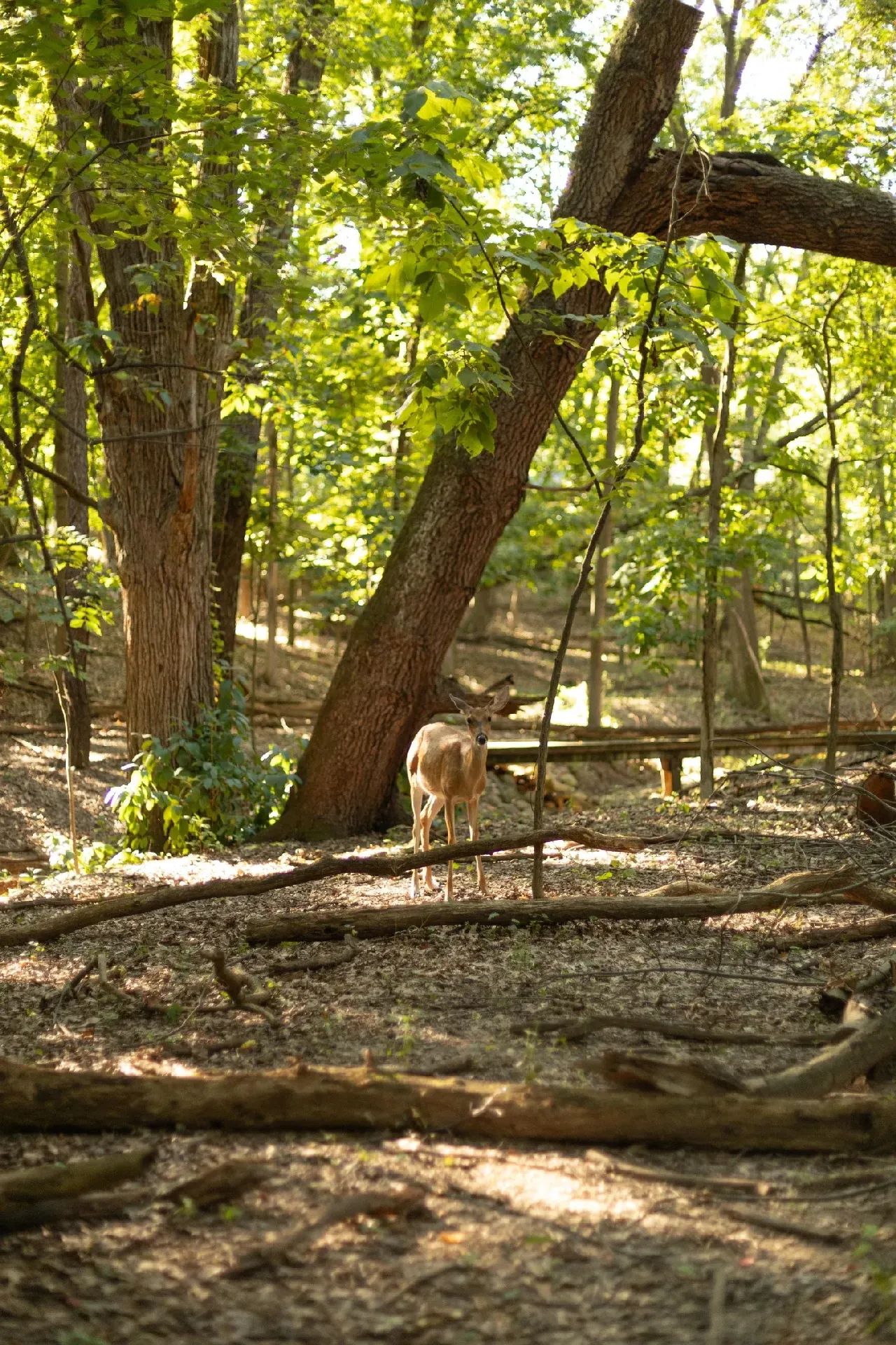 丨美国密歇根丨Norman Carver-55