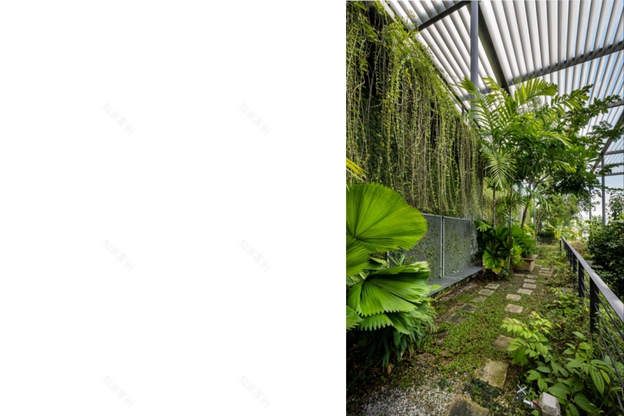 槟城森林中的工厂丨马来西亚槟城-18