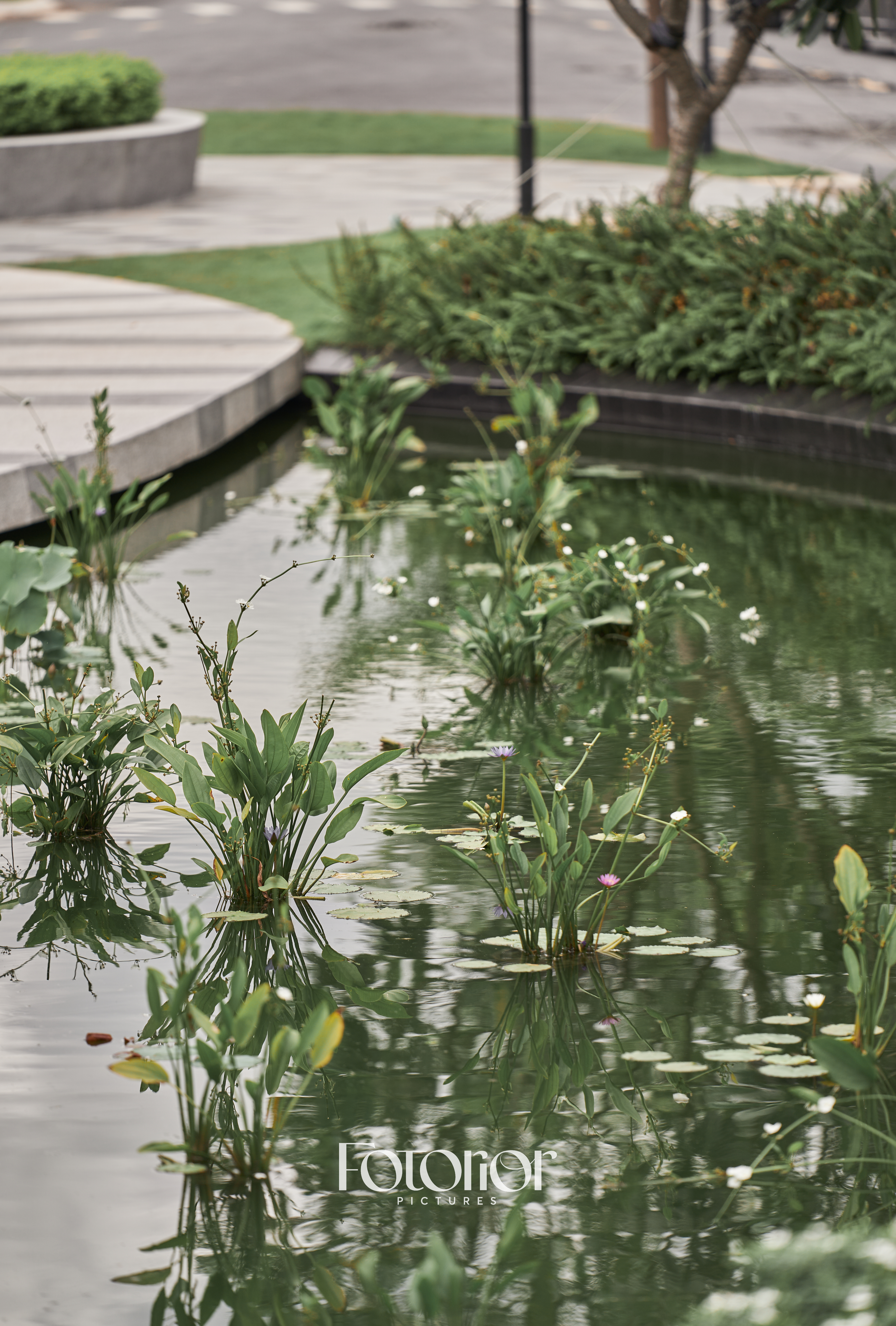 The STANDARD by ANGIA-43