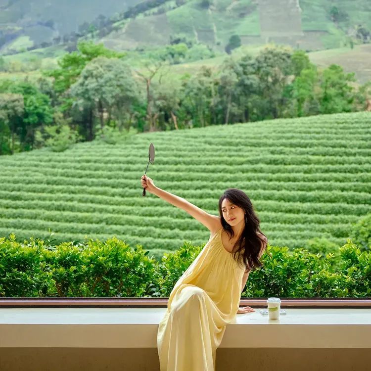 安吉观景平台及茶室丨中国浙江丨HATCH 汉齐建筑-16