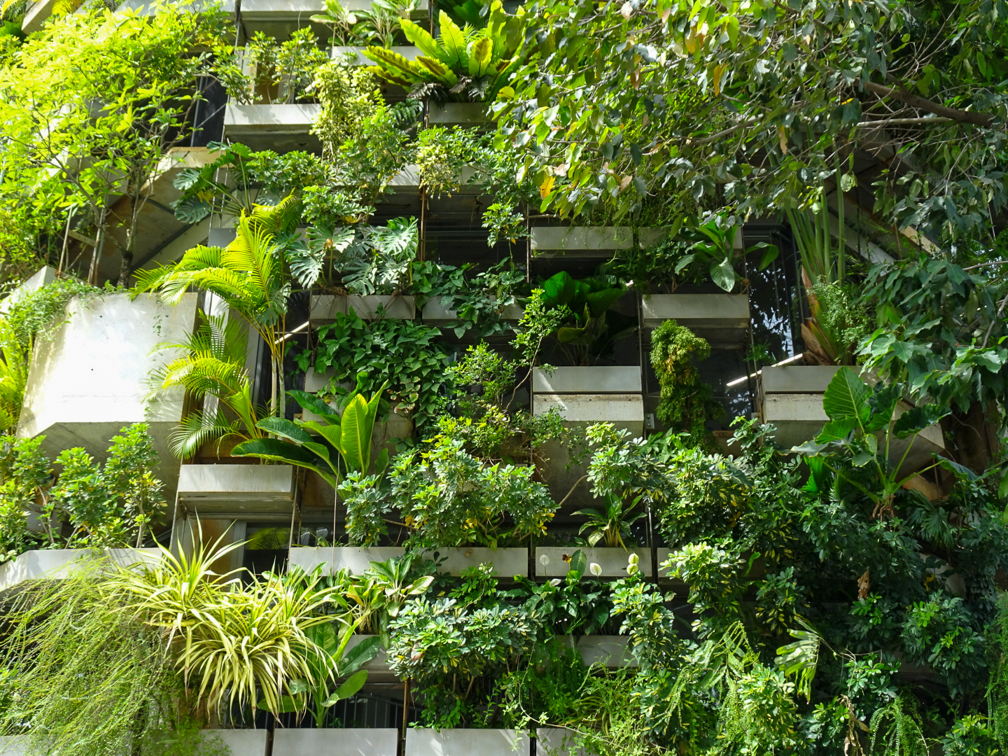 アーバン・ファーミング・オフィス | ベトナム の建築【世界建築巡り】-39