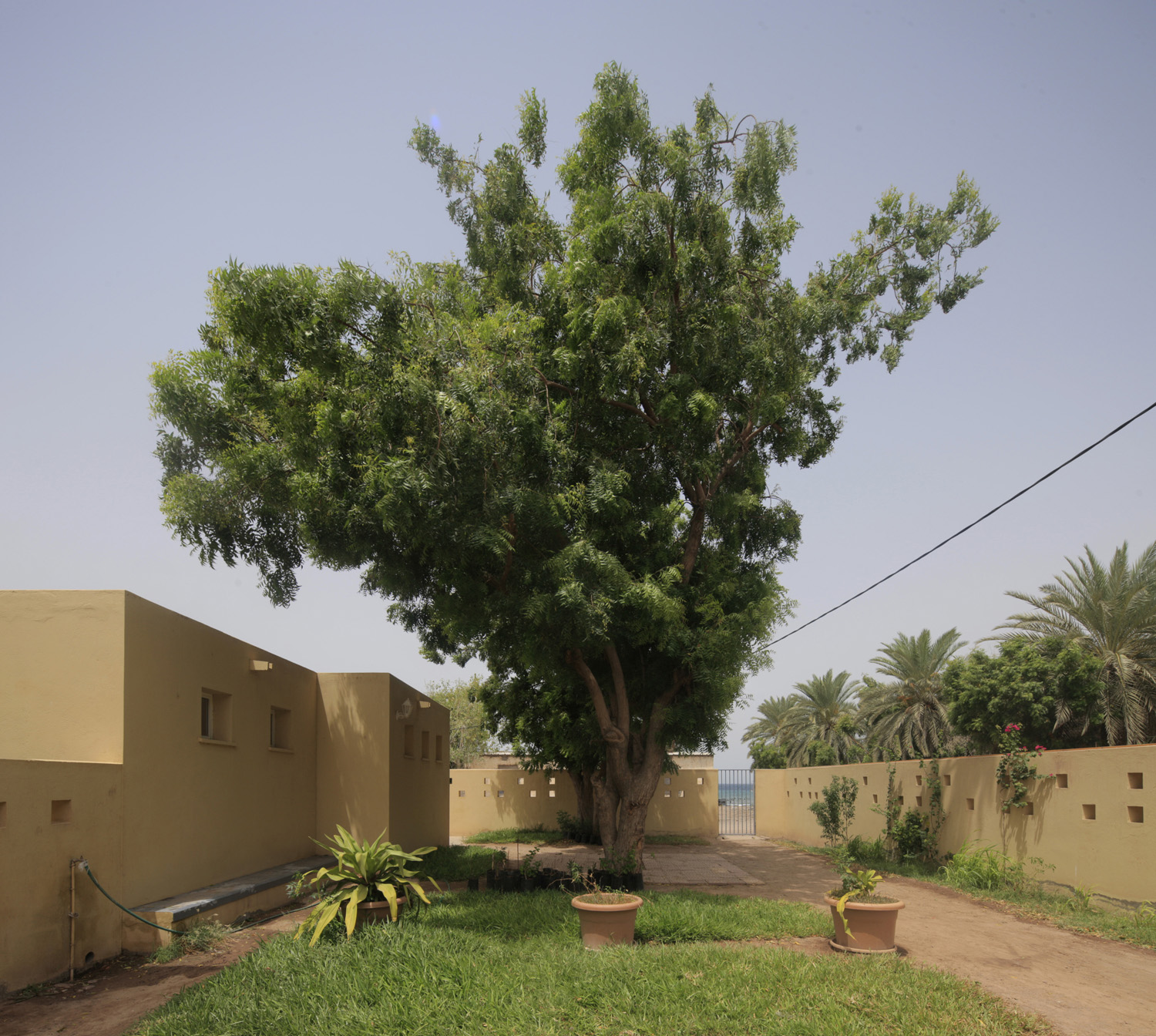 丨吉布提丨Urko Sánchez Architects-57