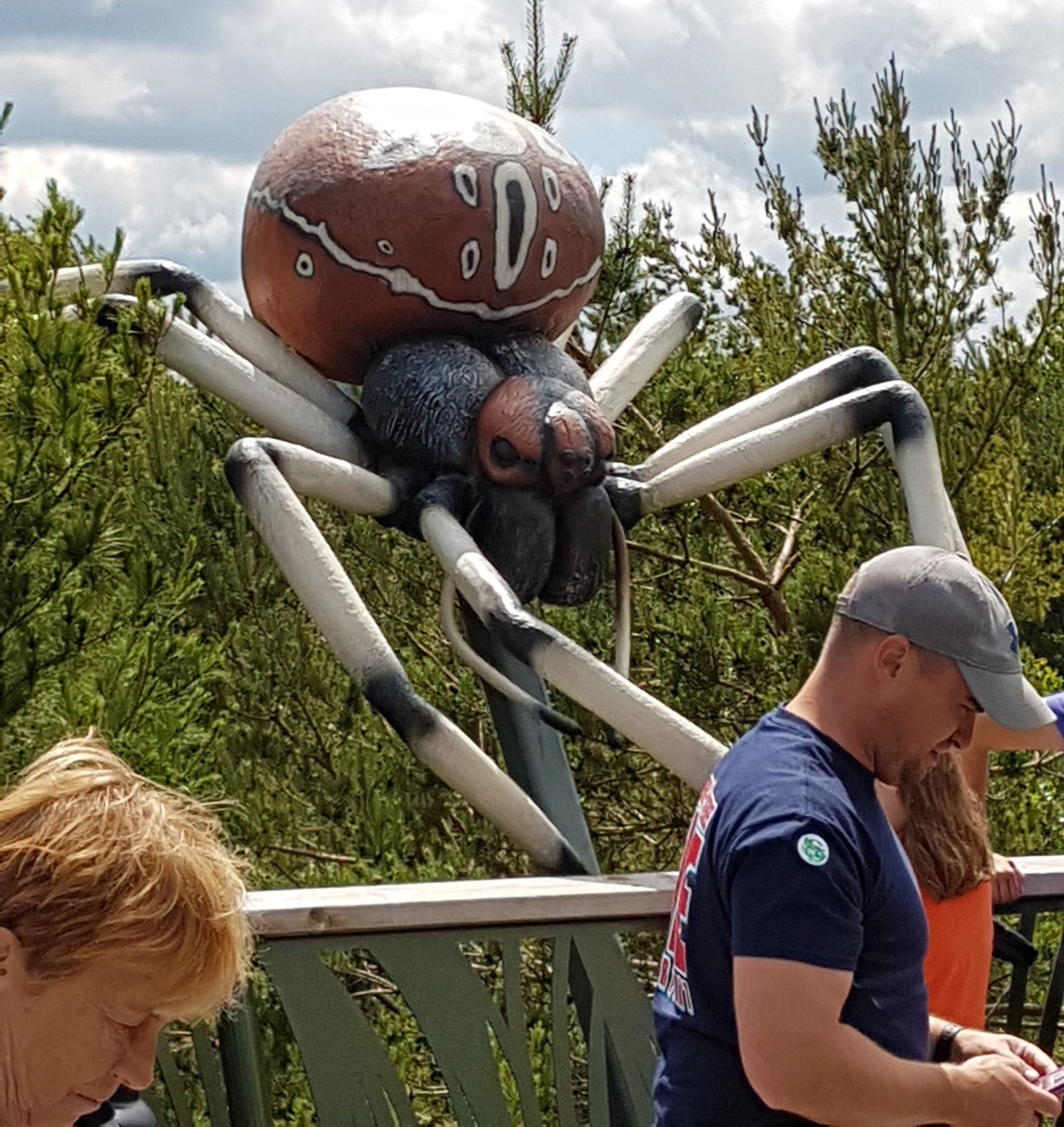 阿迪朗达克斯野生步道丨查尔斯·雷伊-21