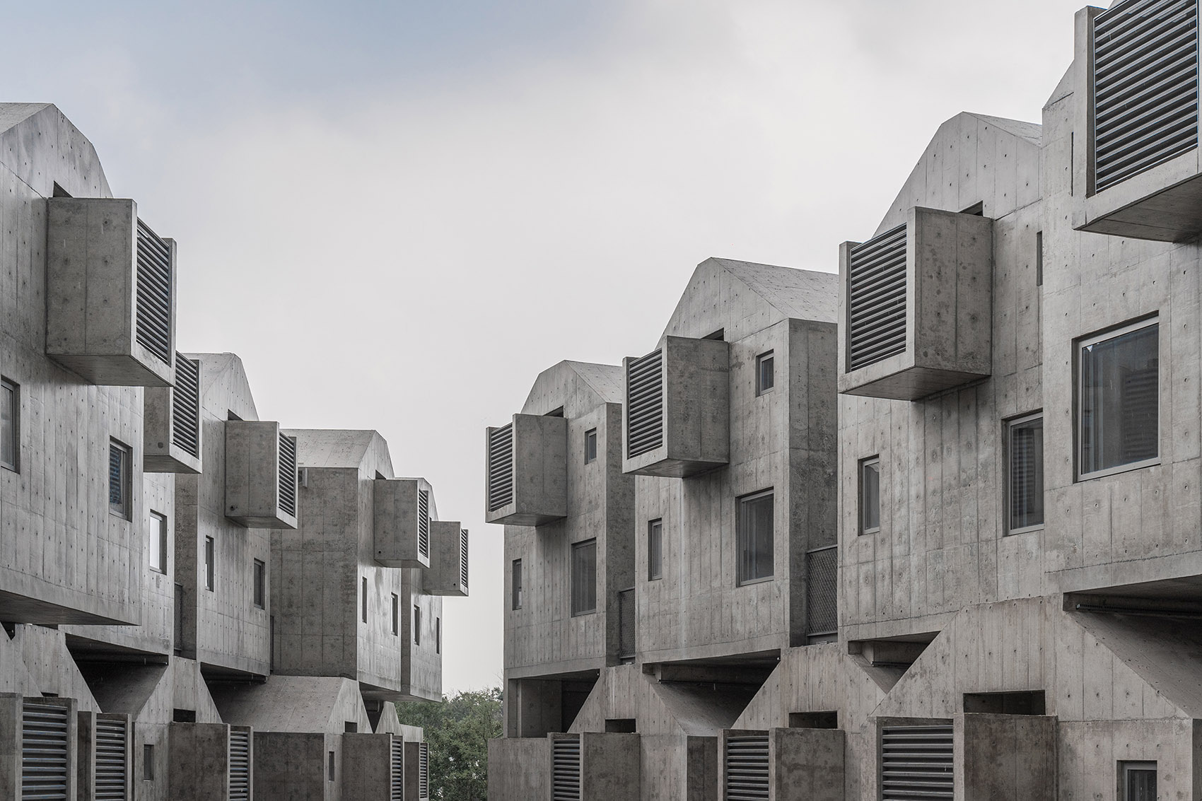 秦皇岛阿那亚犬舍丨中国河北丨直向建筑-81