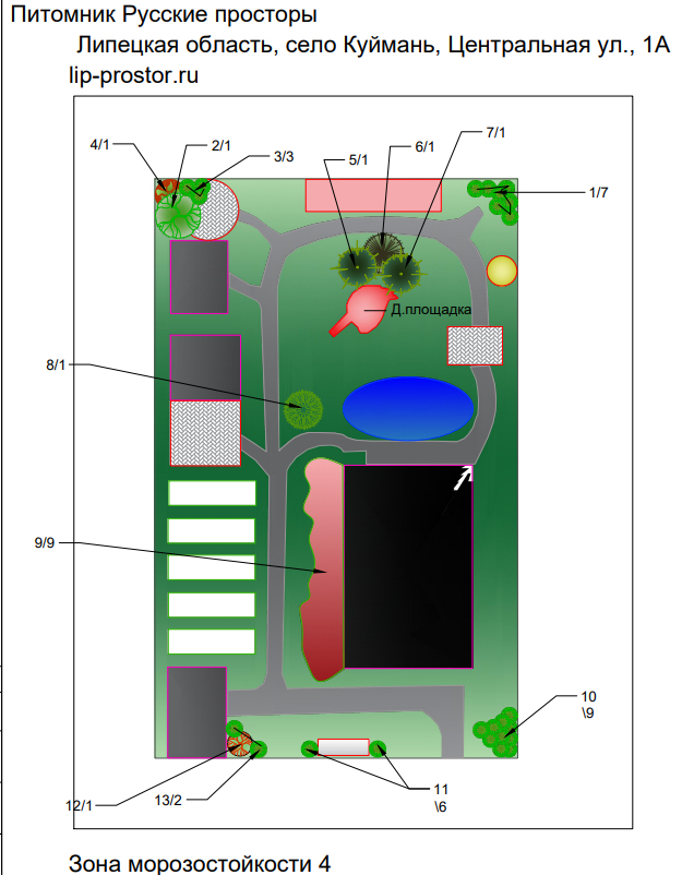 Ландшафтный дизайн участка 25*40-1