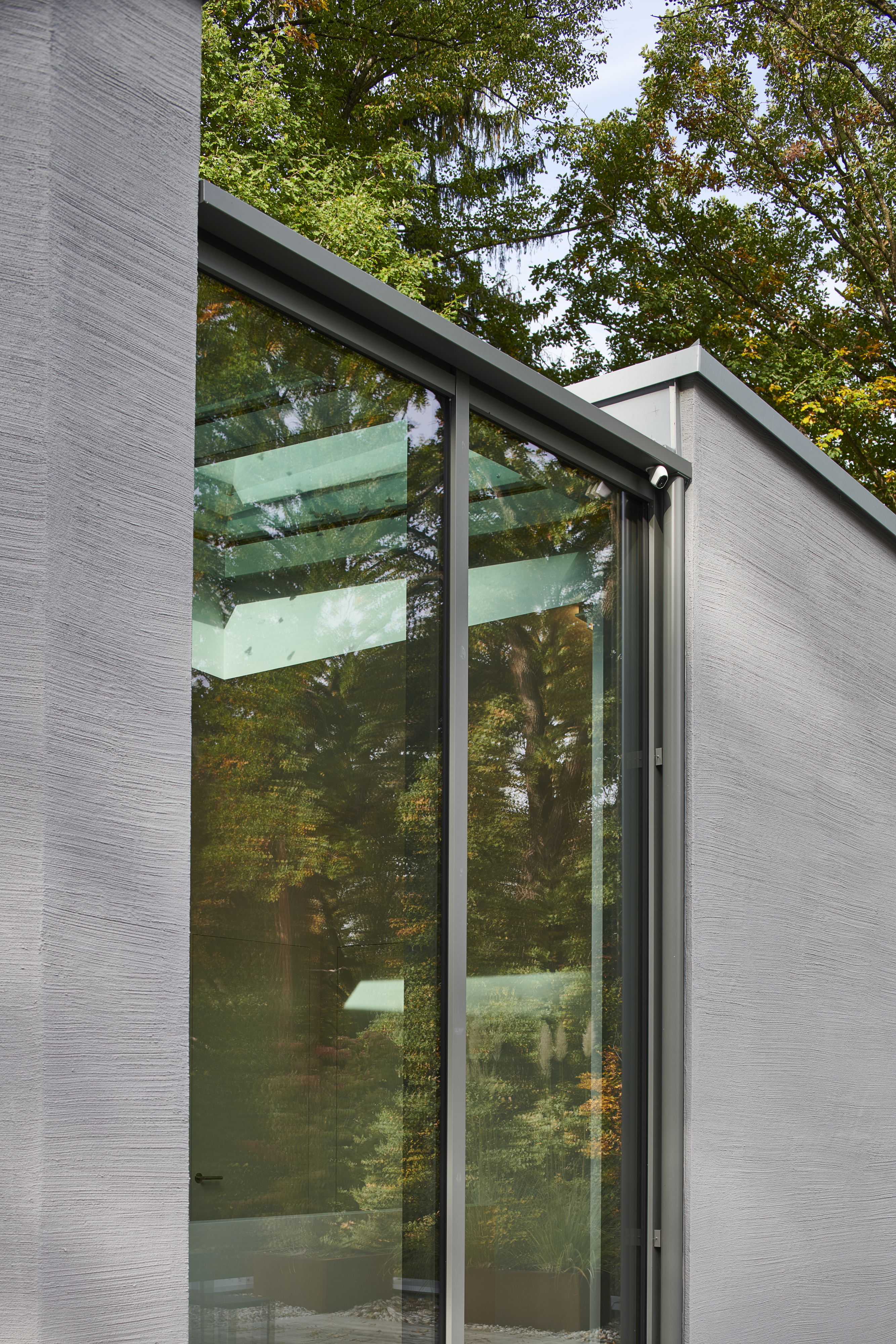 城堡山下的住宅与古橡树共生-9