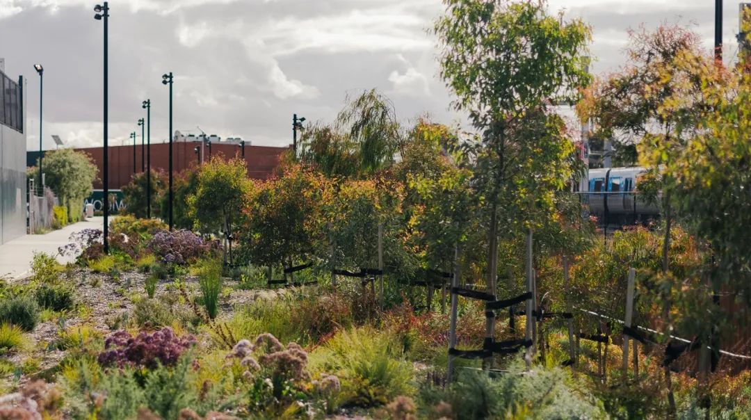 墨尔本及周边地区铁路平交道口移除改造项目（LXRP）丨澳大利亚墨尔本丨Hassell-0