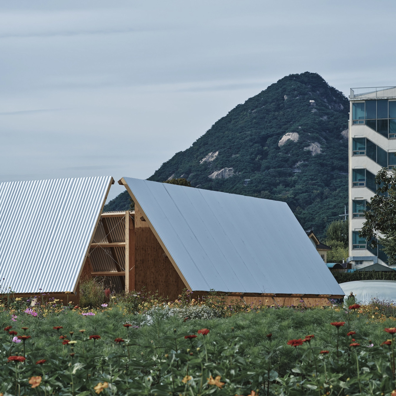 户外房间展馆丨韩国首尔丨Frank Barkow,salazarsequeromedina-15