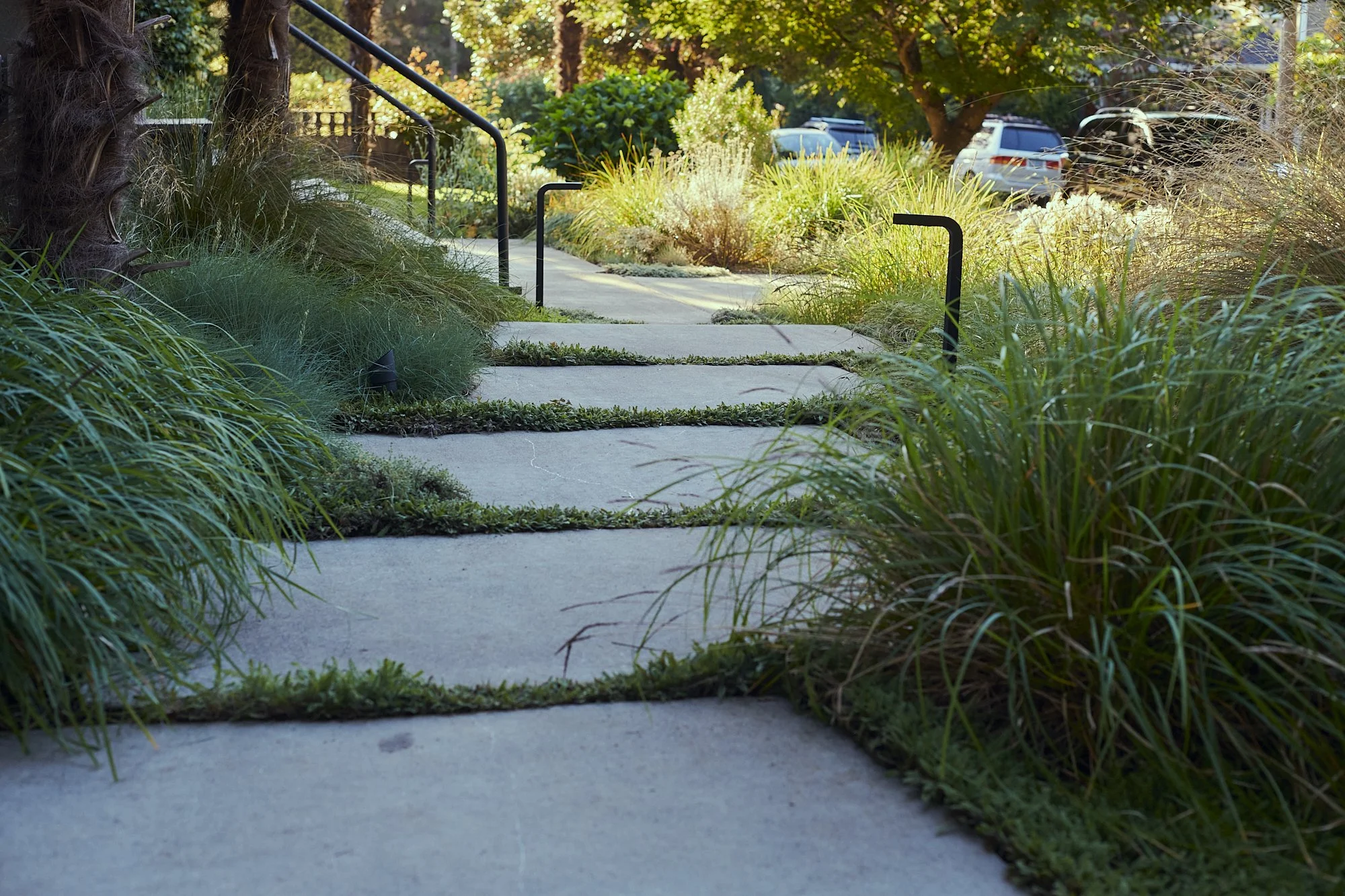 大型测试·大型狩猎之旅丨美国-11