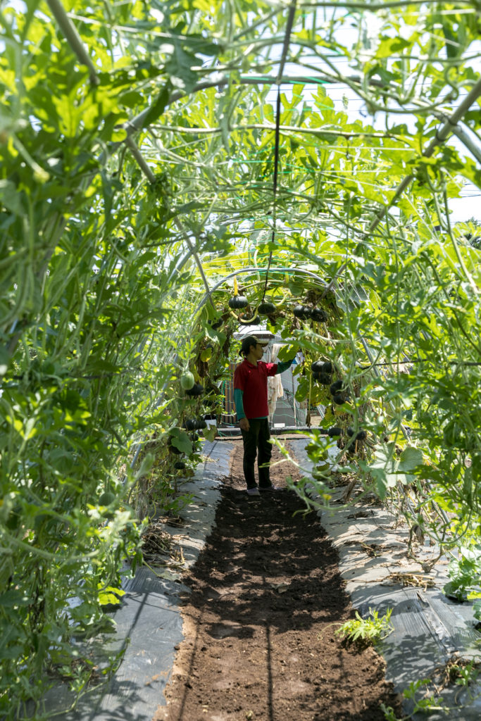 夫婦ふたりの充実した生活空間 パッシブデザインにこだわった心地よい空間で豊かな日々を過ごす | Style of Life | 100%LiFE-13