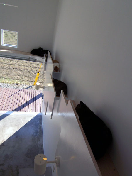 丨日本宫崎丨COGITE-4