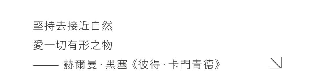 矩阵纵横 · 成都东城金茂晓棠丨中国成都丨矩阵纵横成都事业部（硬装）,矩阵鸣翠（软装）-14