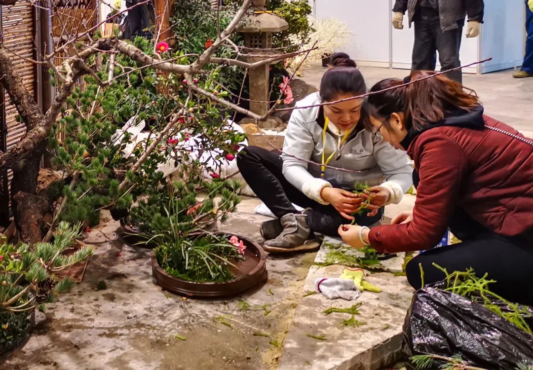 草月流世博馆庭院搭建记 | 全情投入展新貌-19