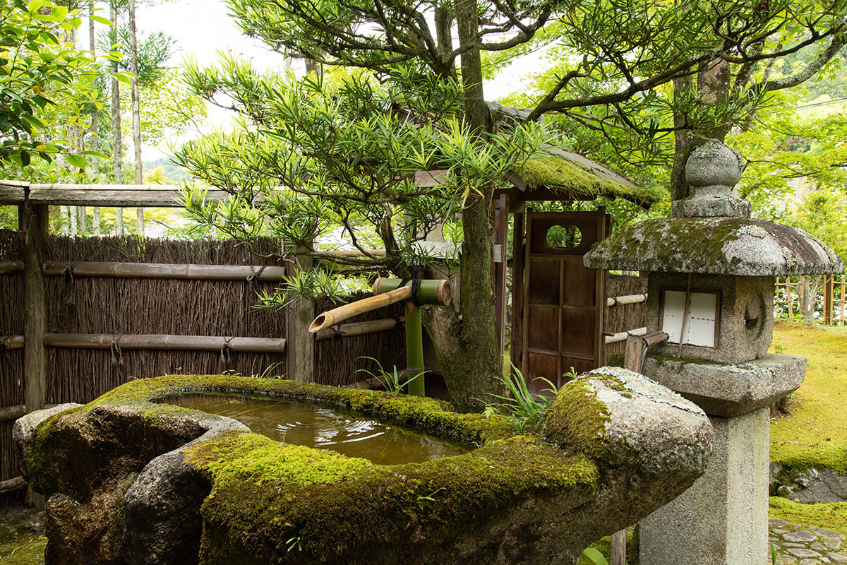 旧时气韵，现代延承 | 植彌加藤-68