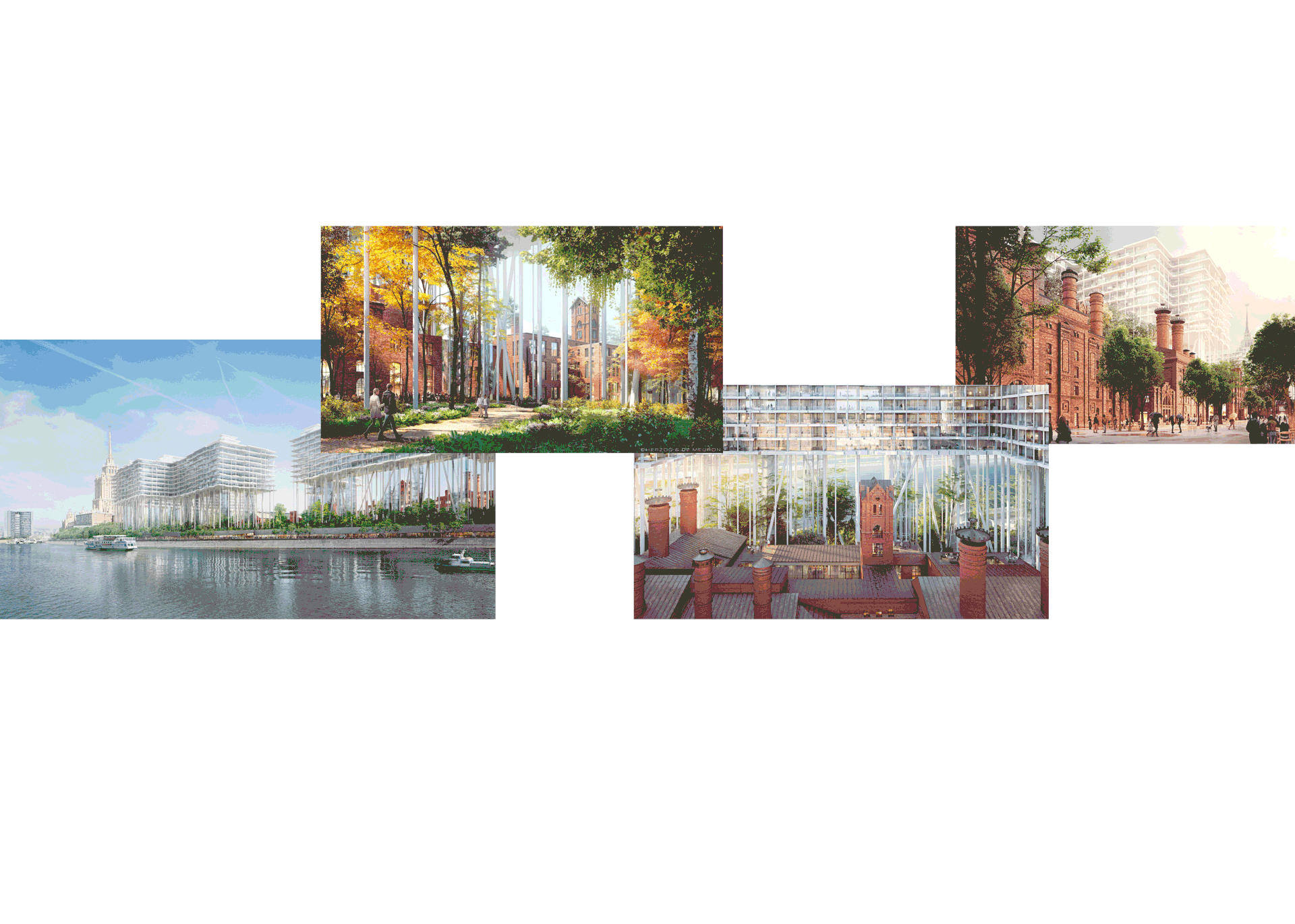 UA2_RECLAMANDO LA NATURALEZA EN LA CASA-12