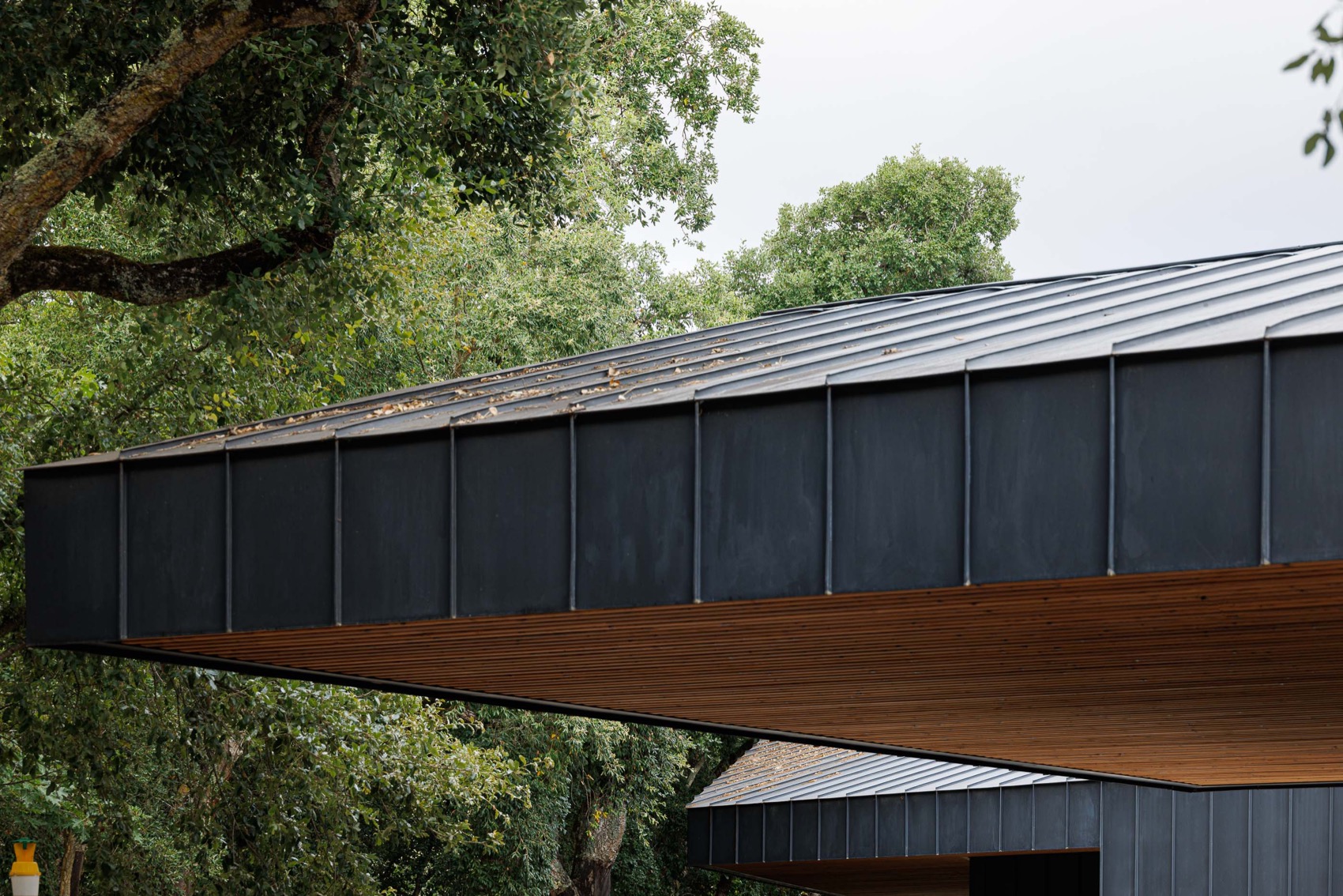 CC住宅 – Quinta dos Carvalhos丨葡萄牙丨Inception Architects Studio-163