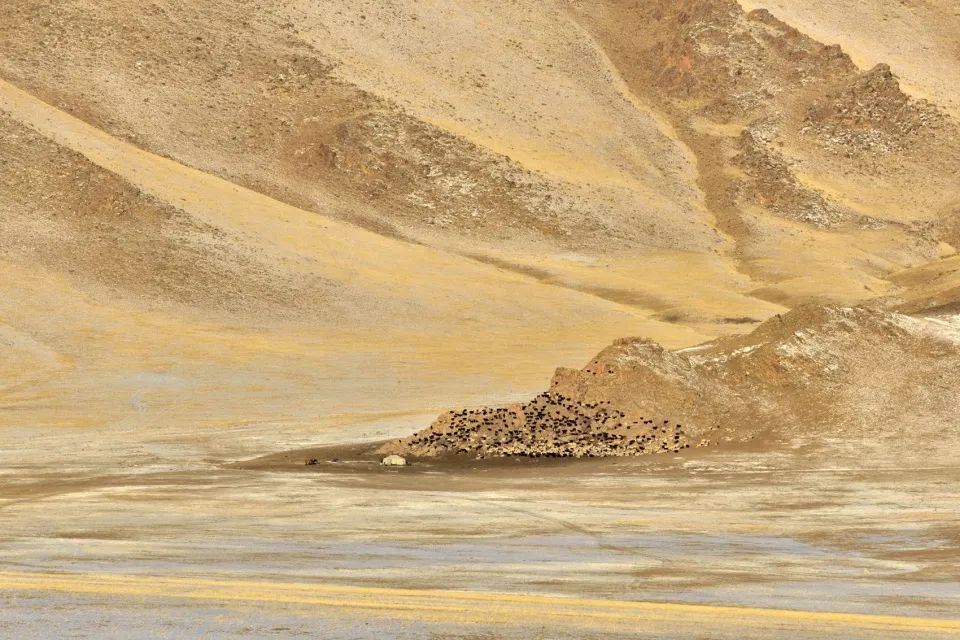 蒙古旅行记忆 · 摄影展:“回到自然”-14