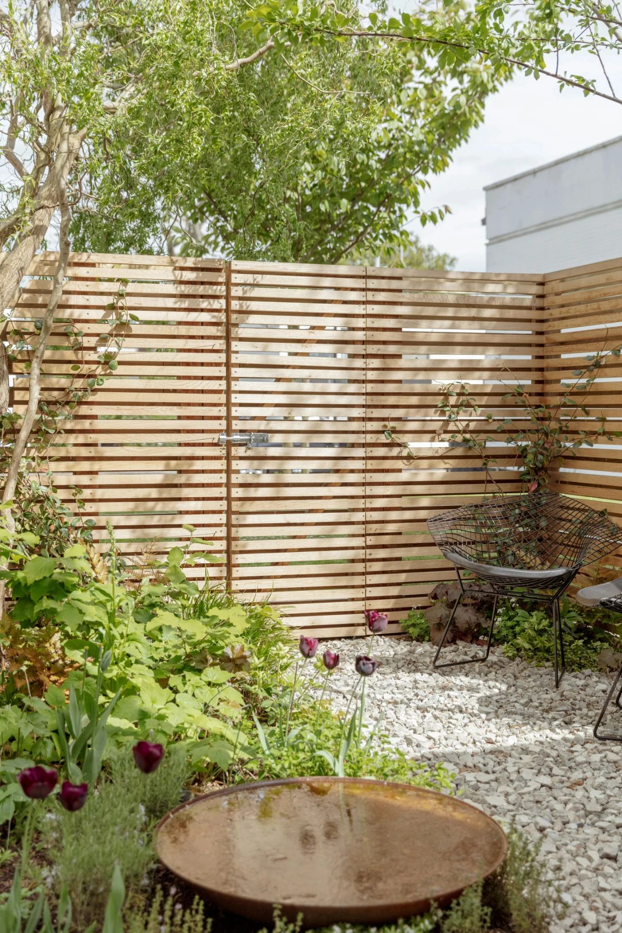 自然沉思,空间的原木风情丨英国伦敦丨Architecture for London-30