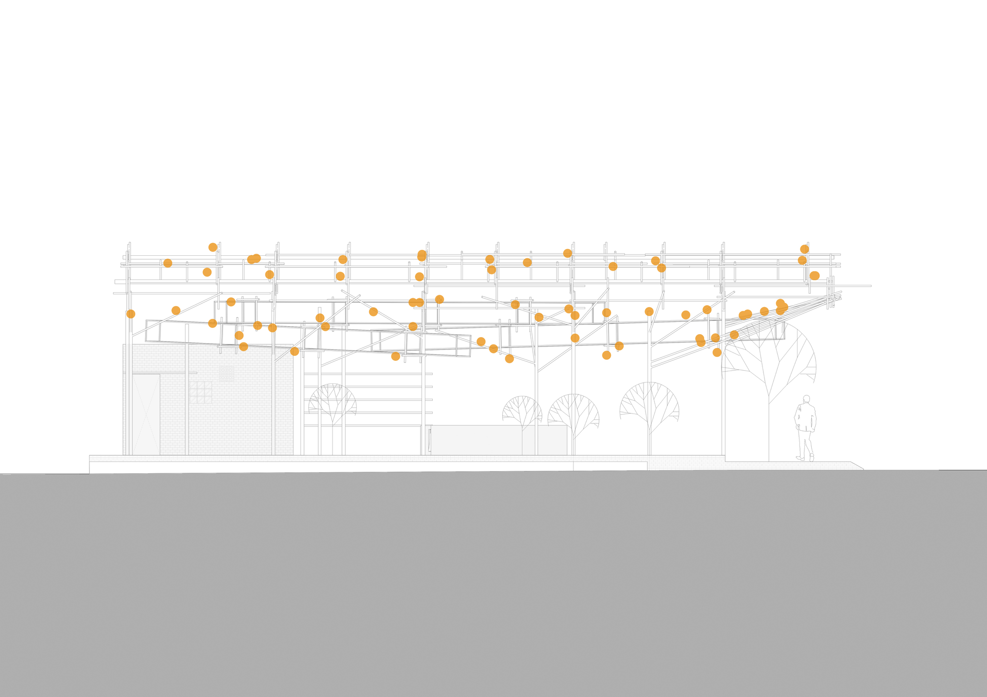 采茶，开花丨越南-20