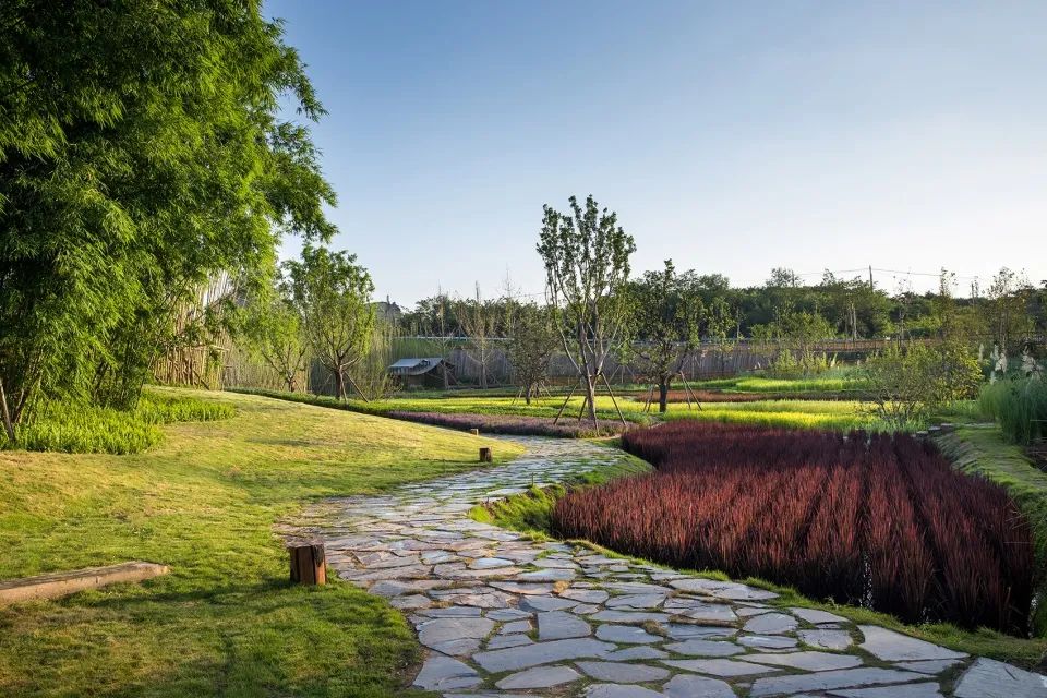 成都新希望种子乐园丨蓝海景观-52