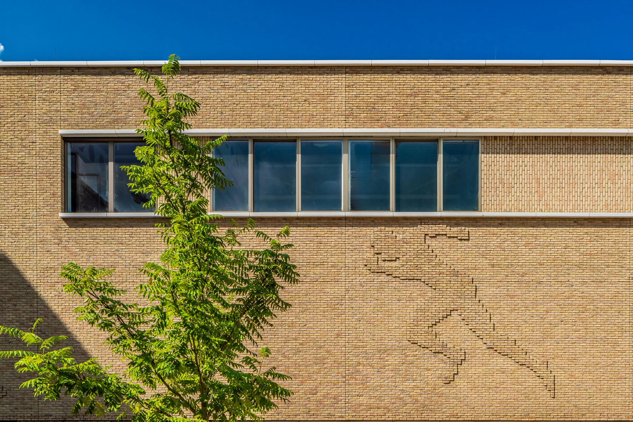 Elzenhagen 运动馆丨荷兰阿姆斯特丹丨LIAG 建筑事务所-15