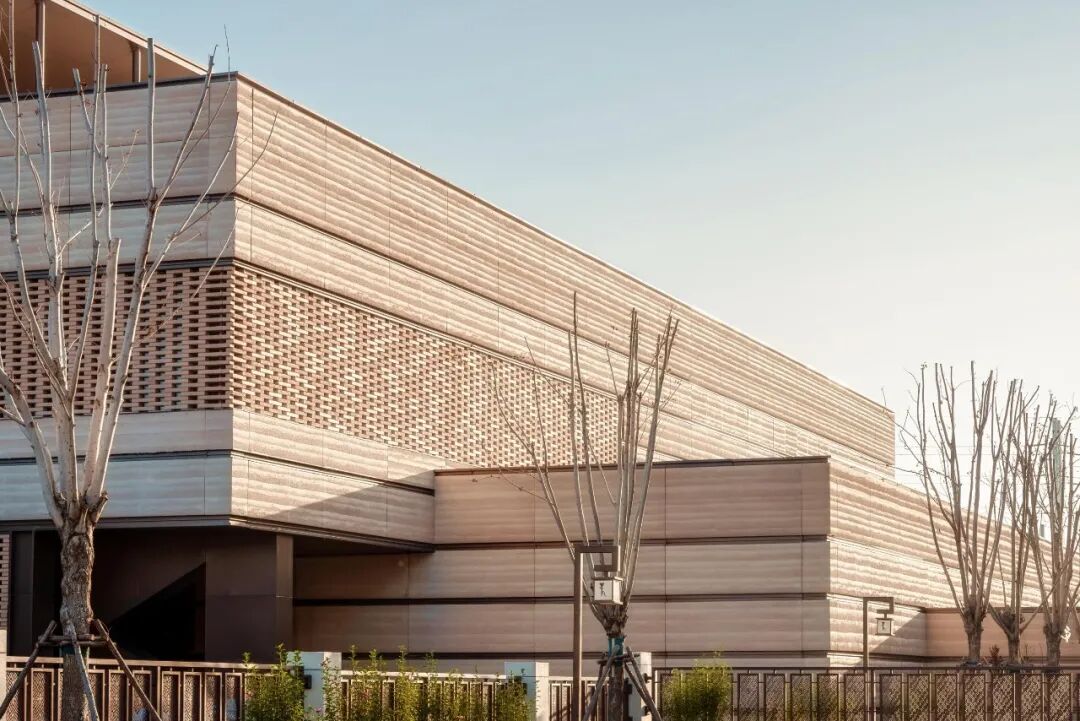 大辛庄遗址博物馆丨中国济南丨同圆设计集团股份有限公司-59