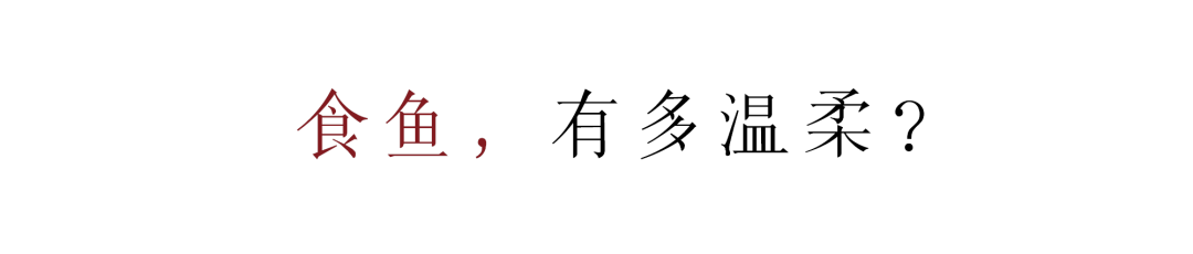 春日食鱼记 · 生活艺术化·艺术生活化丨木舍品艺术设计工作室-25