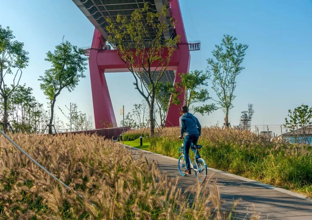 杨浦大桥区域滨江绿地生态项目，打造城市水岸新生活-105