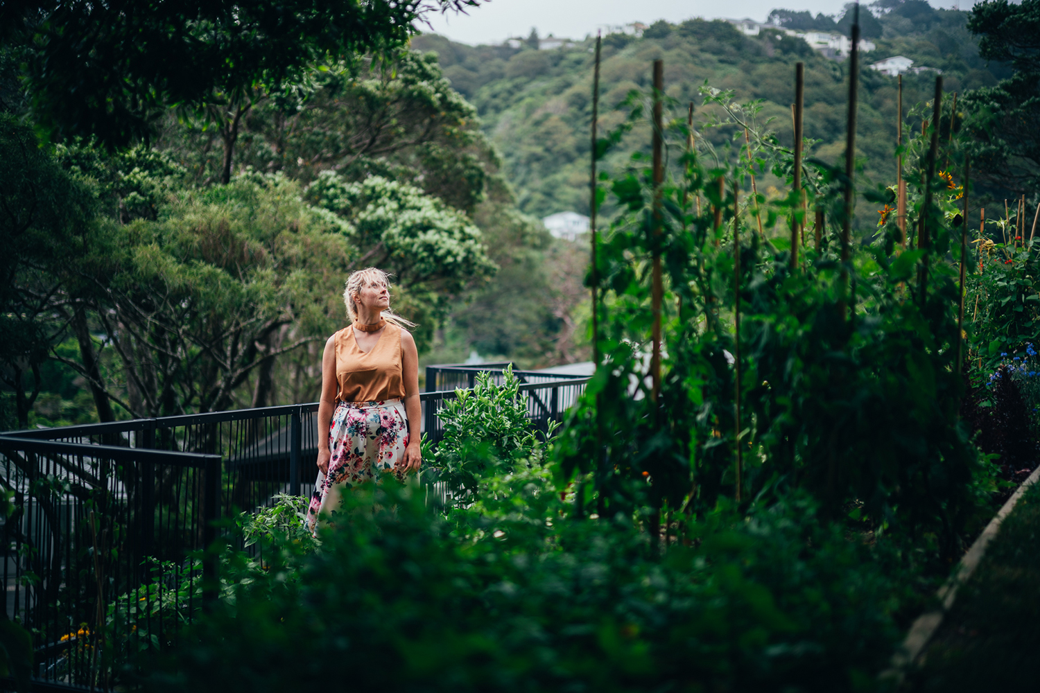 惠灵顿植物园的探索花园——儿童与自然的亲密接触-20