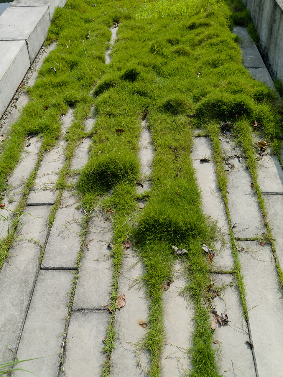 访谈专辑第二十一期 & 张唐景观-64