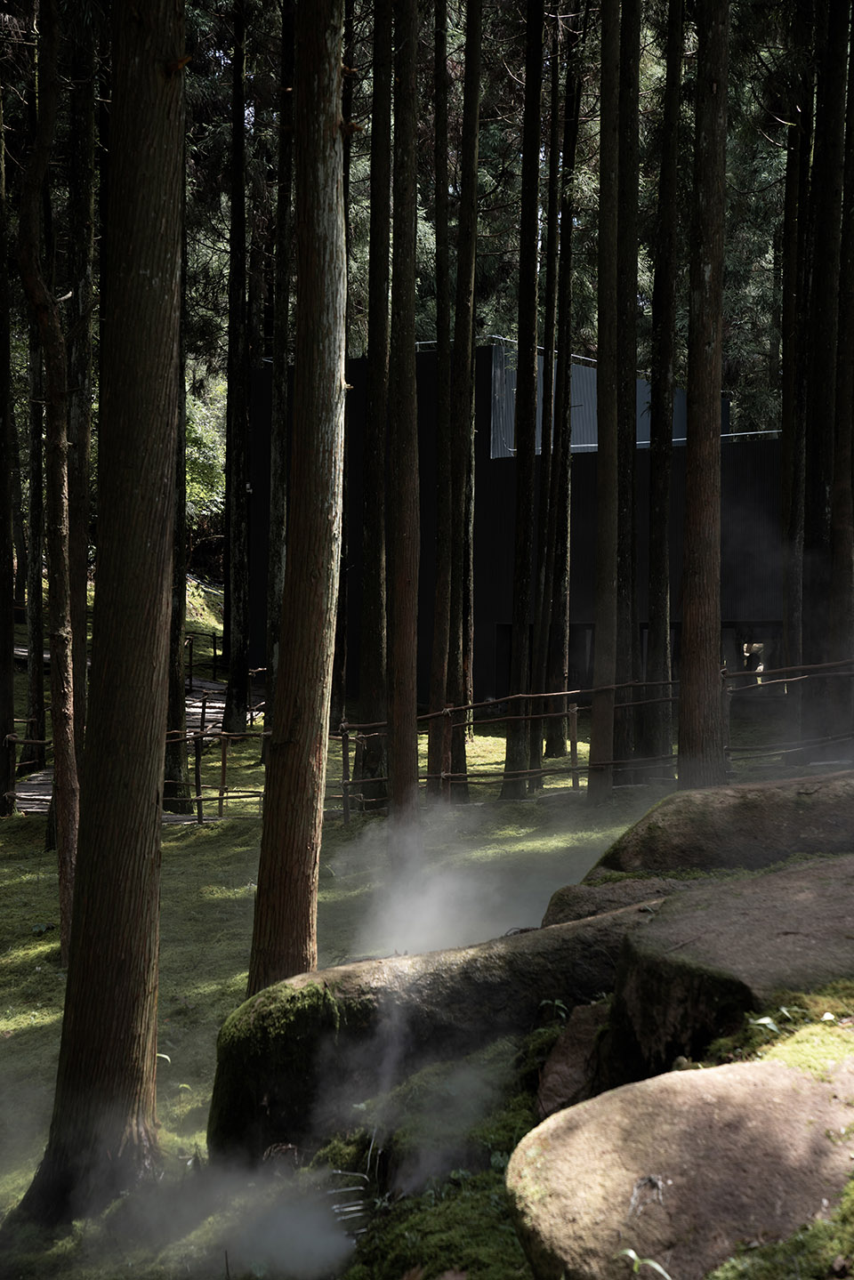 MOJ 森林咖啡丨中国温州丨杭州偲所设计-71