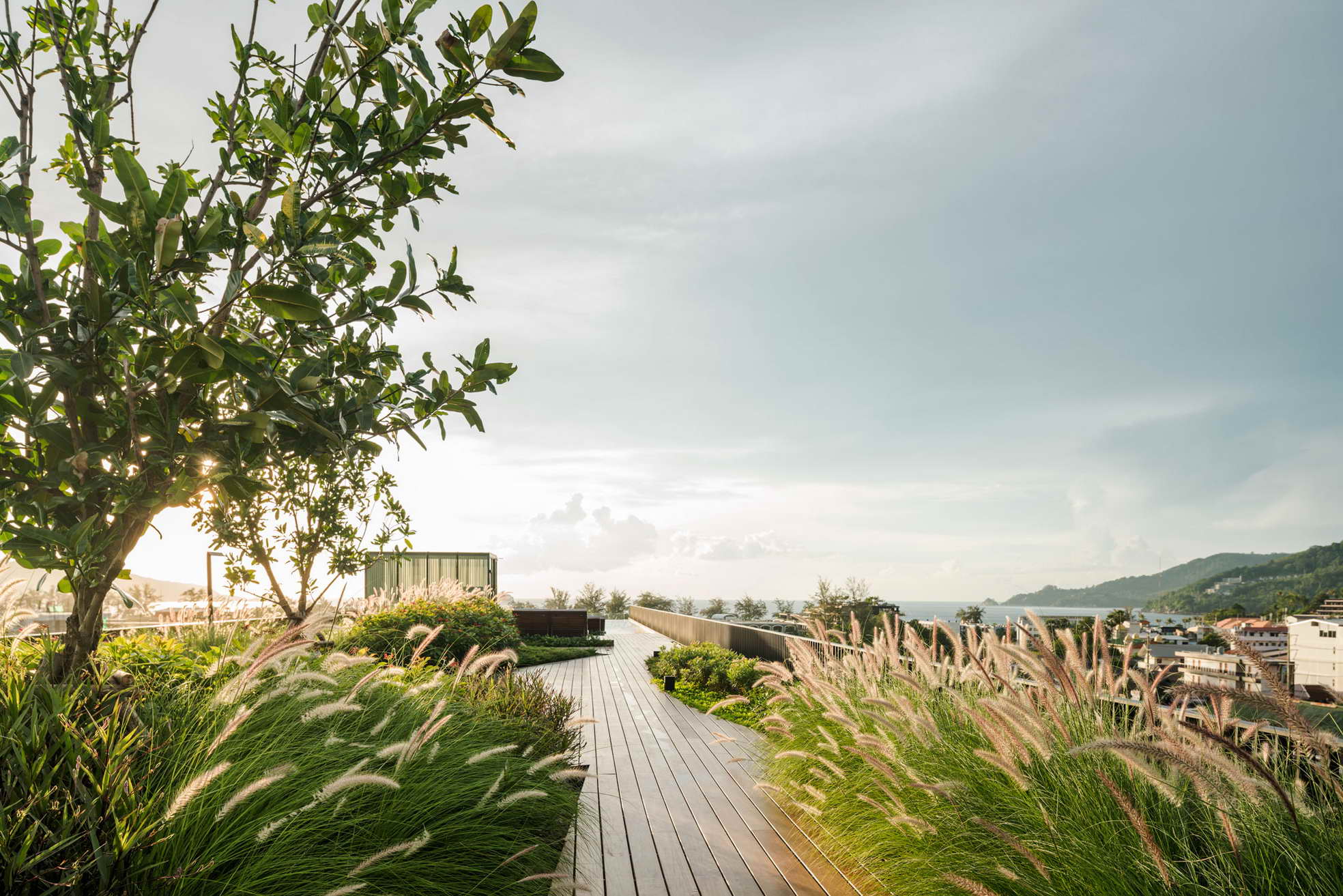 泰国普吉岛 The Deck Patong 公寓 | 融入自然的景观设计-39