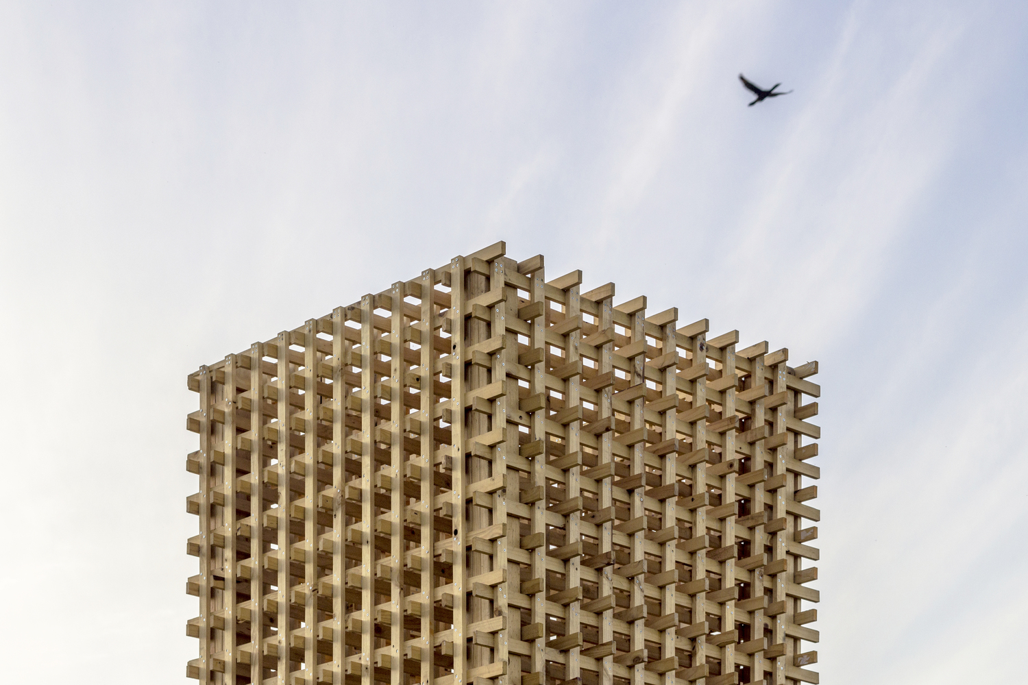 双塔与小径 · 智利废弃矿区的生态恢复之路-14