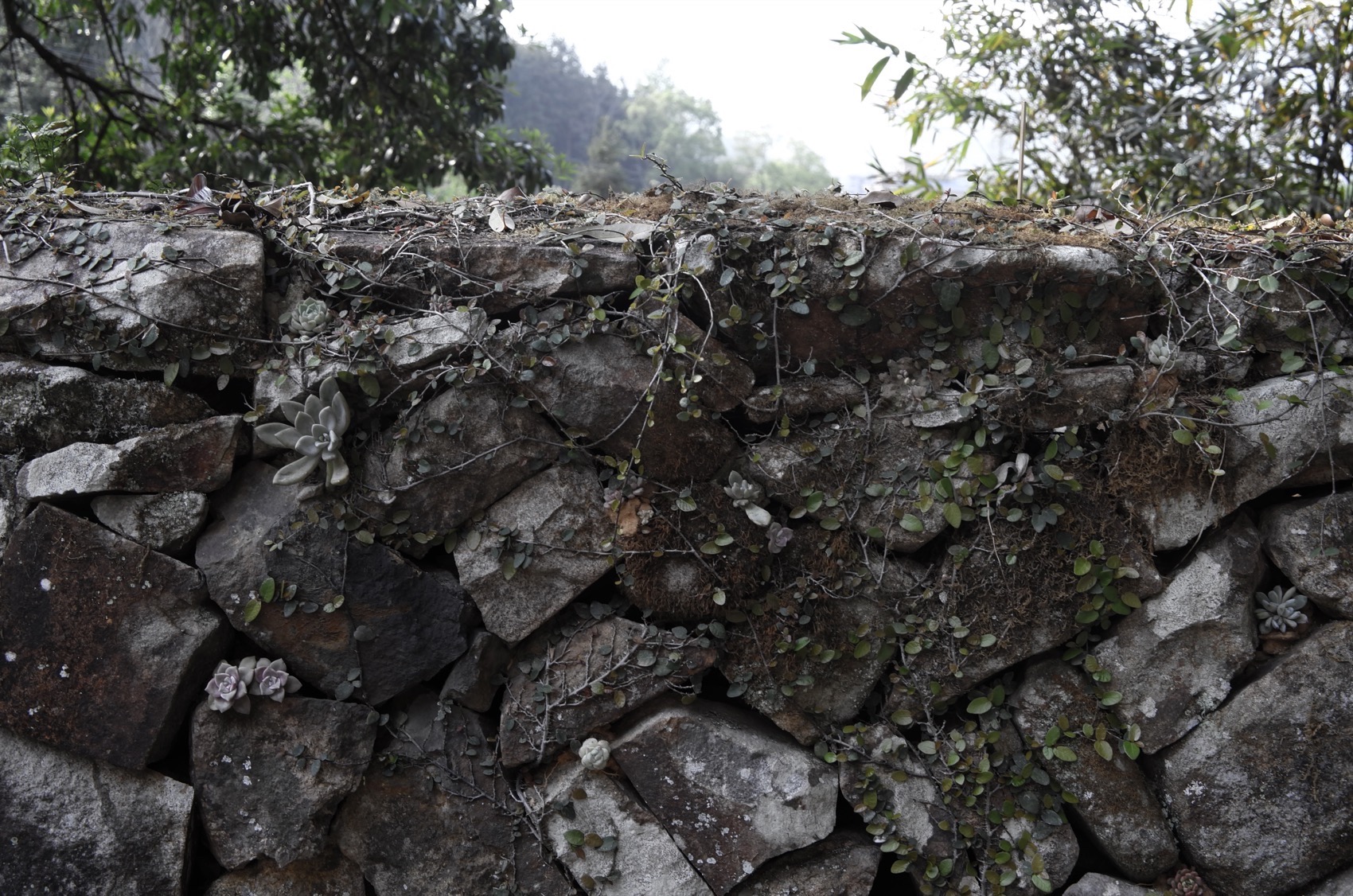 竹间居所 住进竹的光影里丨中国温州丨杭州也间室内设计有限公司-24