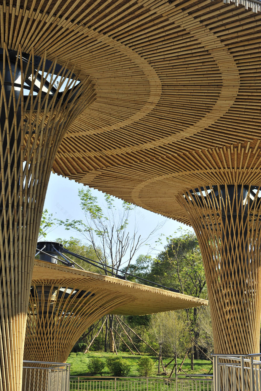 沈阳森林动物园熊猫馆 / 沈阳建筑大学HA+建筑方案创意工作室-29