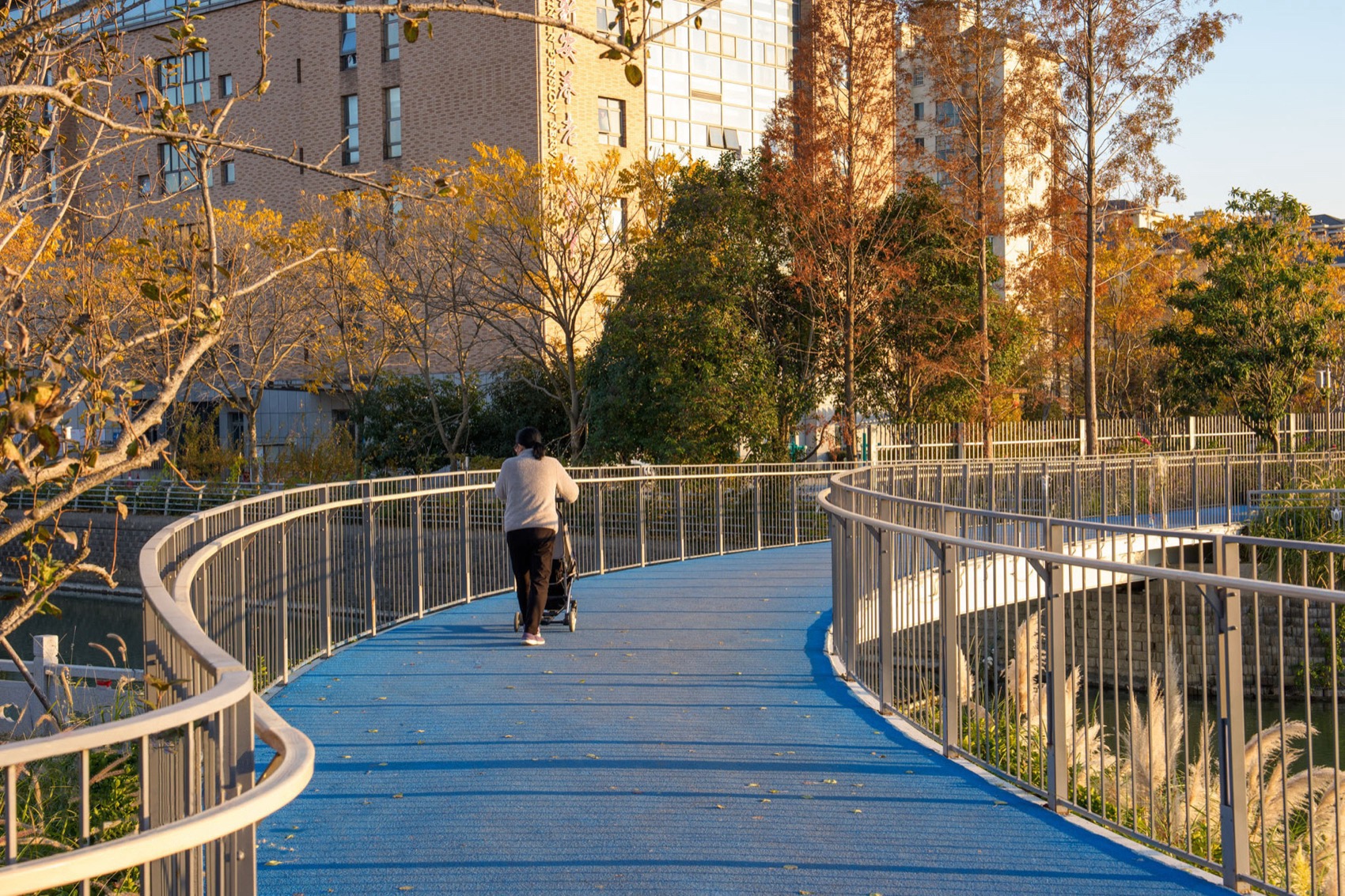 无锡菱湖大道沿线景观提升丨中国无锡丨MYP迈柏-94