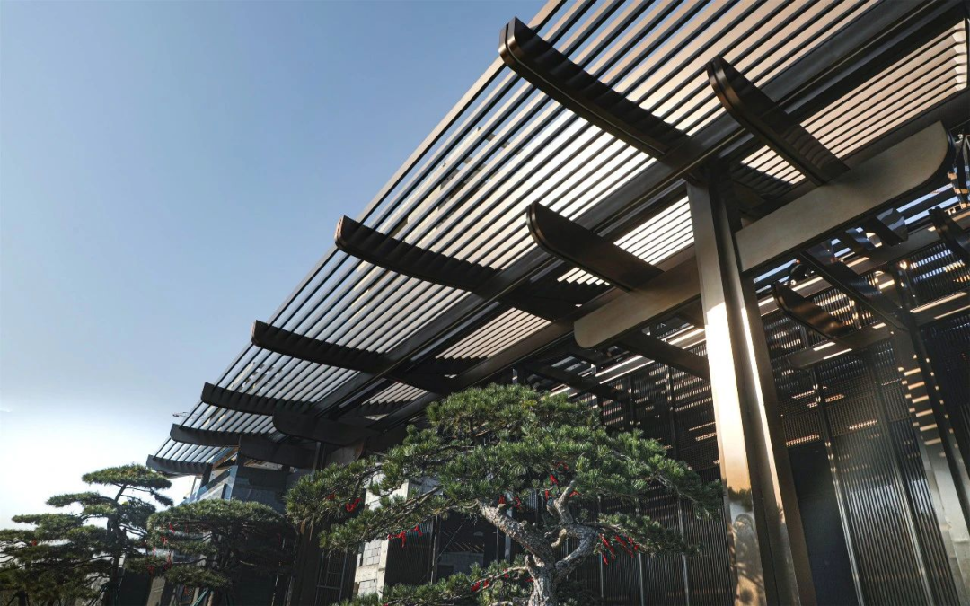 金沙操盘 | 成功经验：从河南火到全国各地（实地考察+主题演讲）-12